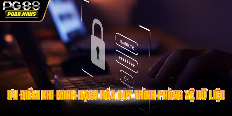 Ưu điểm khi minh bạch hóa quy trình phòng vệ dữ liệu
